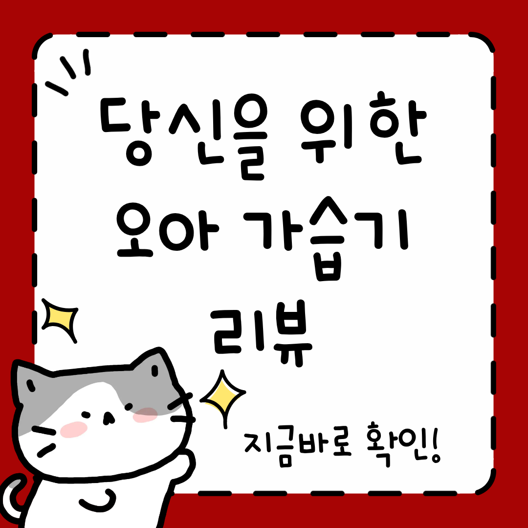 오아 가습기 1000