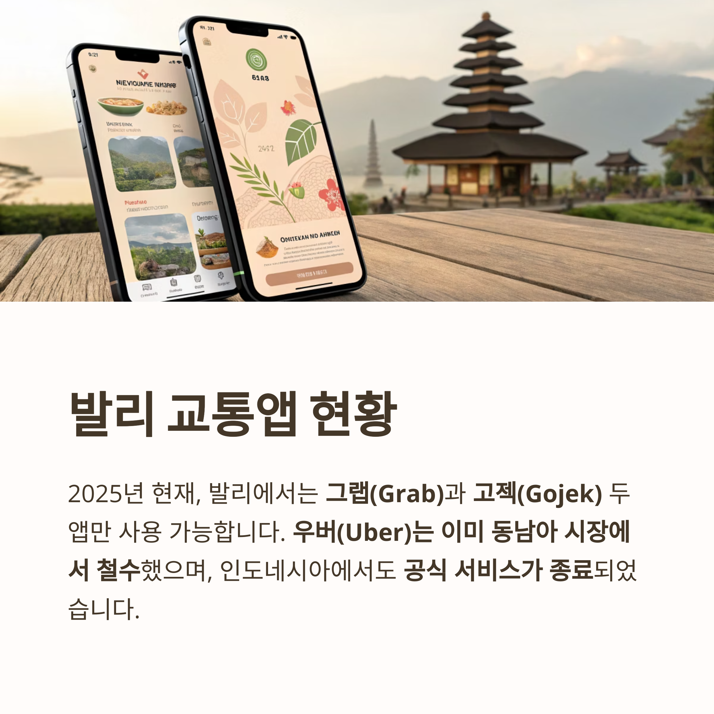 발리 교통앱 완전정복: 그랩 vs 고젝