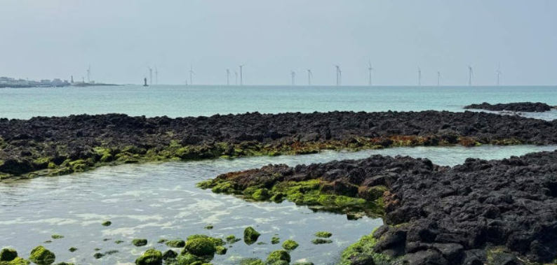 인터파크 국내여행