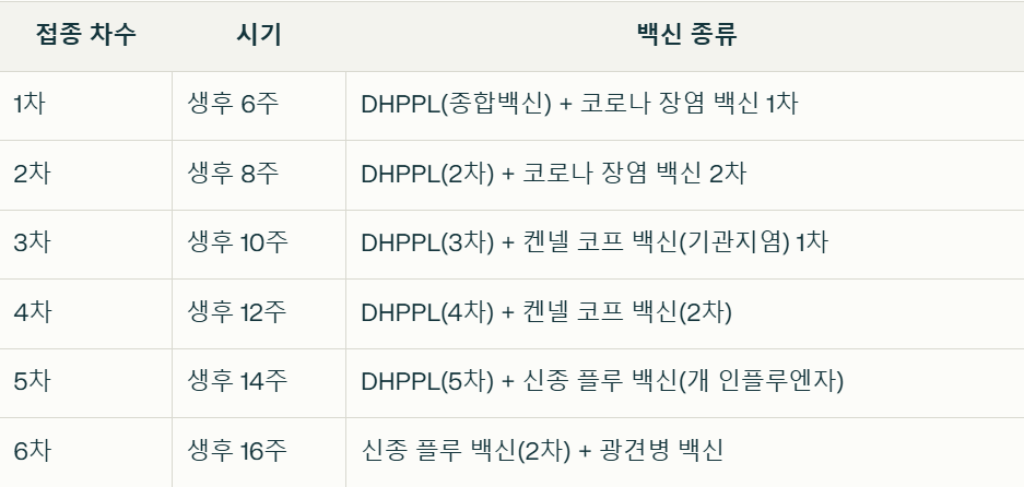 강아지 백신 정리표