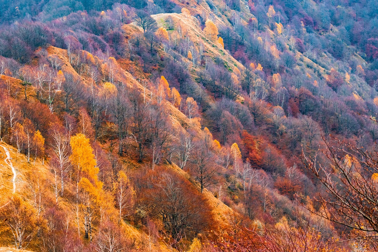 상단에서 내려다본 가을 산세 관련 사진