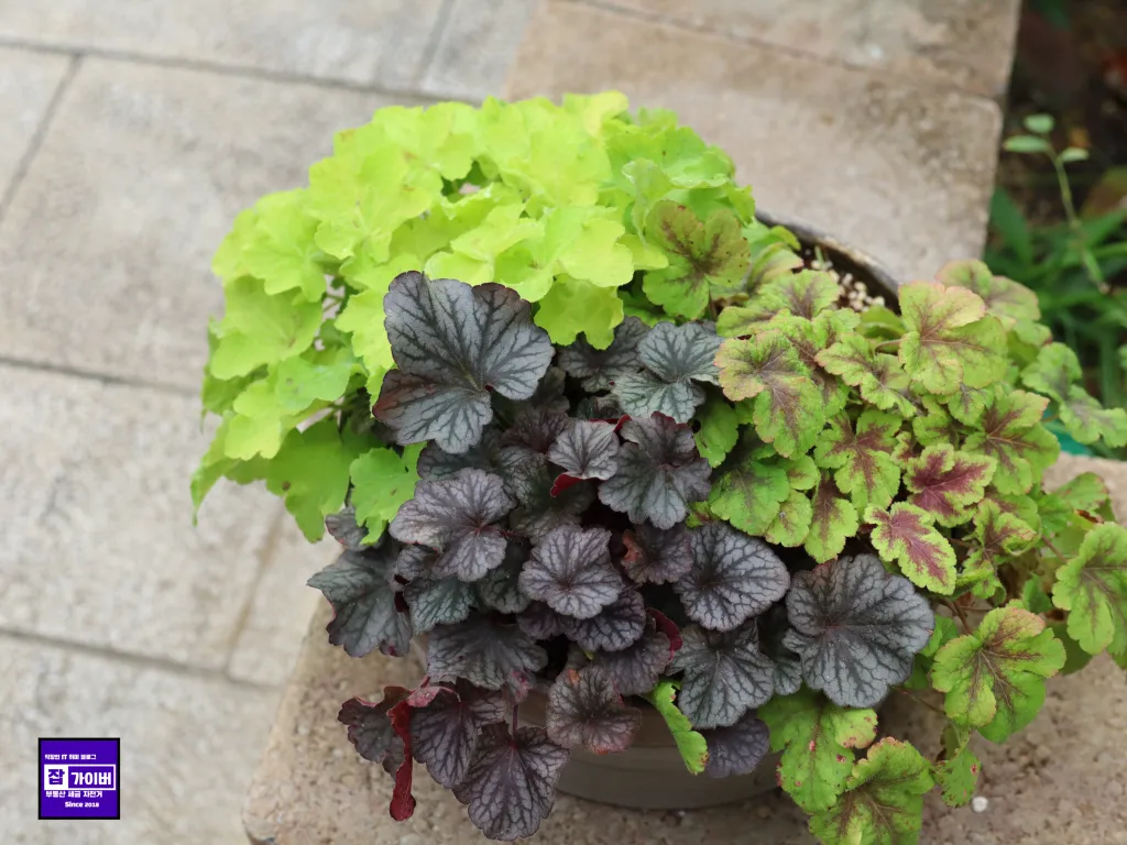 서울식물원 야외 정원과 꽃 조형물