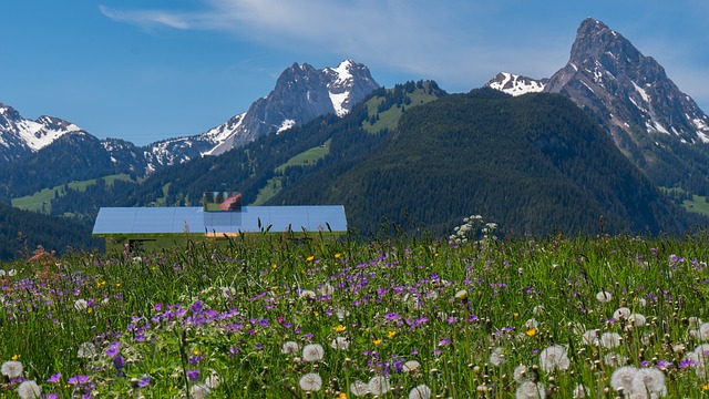 전월세 신고제 대상 필독 15