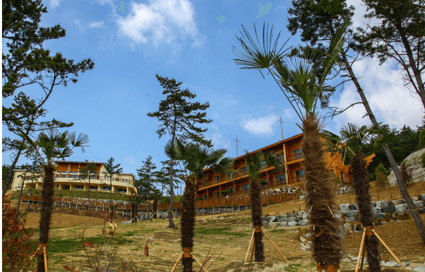 국립자연휴양림 