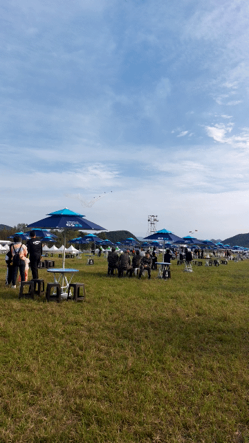 블랙이글스 에어쇼3