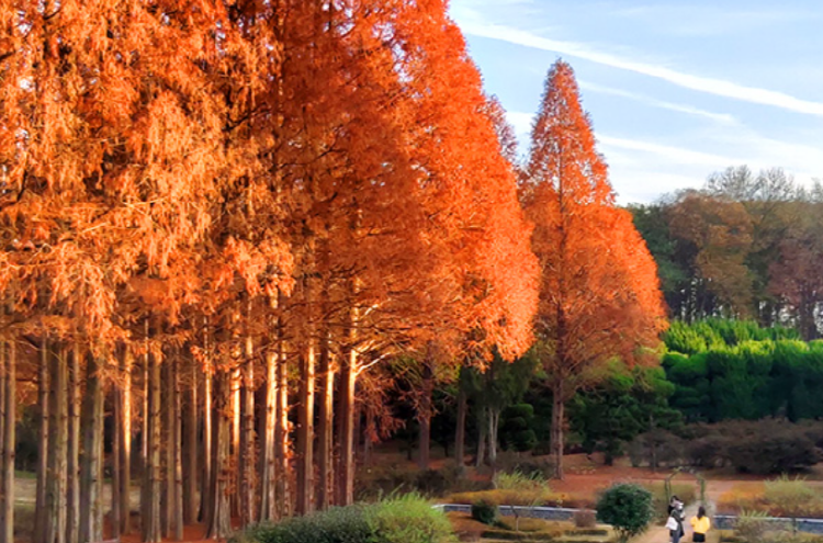 익산 아가페정원