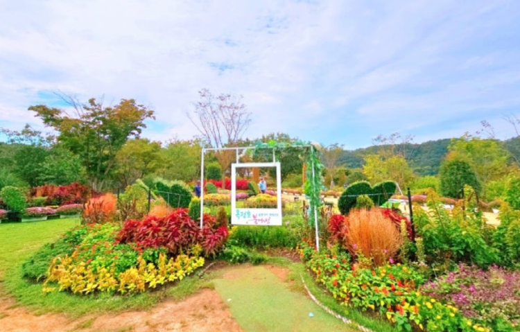 옥정호 출렁다리