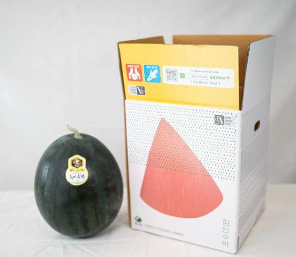 6시내고향 함안 컬러수박