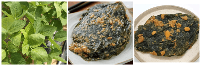 콩잎, 콩잎장아찌 사진
