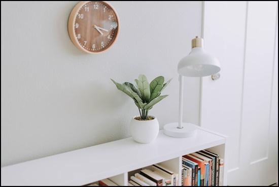 서울시청년이사비