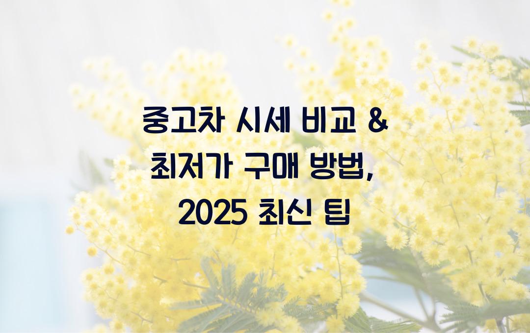 중고차 시세 비교 & 최저가 구매 방법 (2025년 최신 트렌드)
