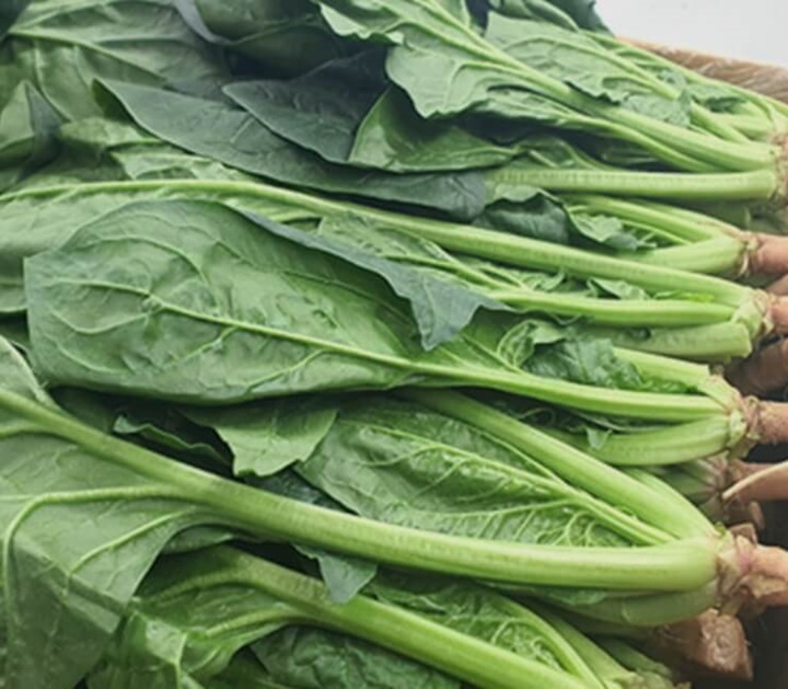 림프종 좋은음식 - 시금치