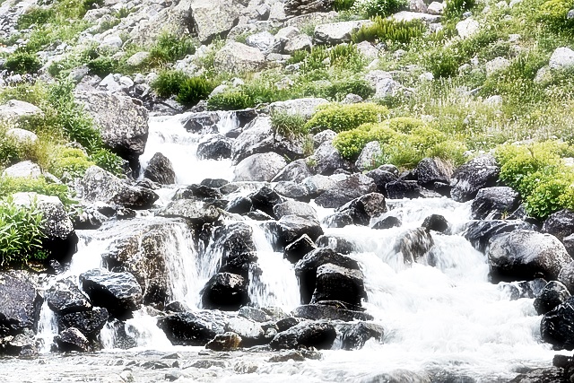 펙셀스 무료 이미지