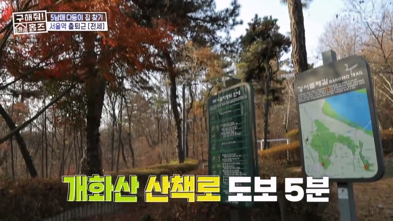 구해줘홈즈 강서구 방화동 다둥이 드루와 벽돌집 단독주택 매물 가격 및 구조 인테리어 리모델링 최종선택 소개 다시보기