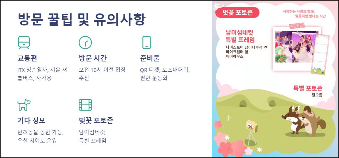 남이섬 방문 꿀팁 및 유의사항