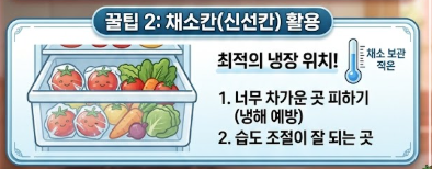 토마토 보관방법