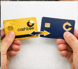 캐시비 잔액 조회