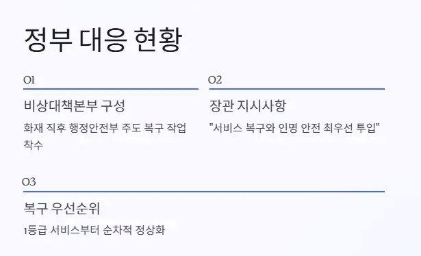 정부 대응 현황