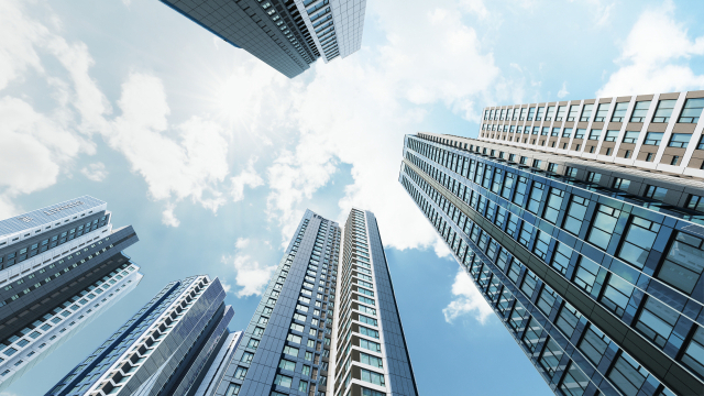 써밋 리미티드 남천 사진