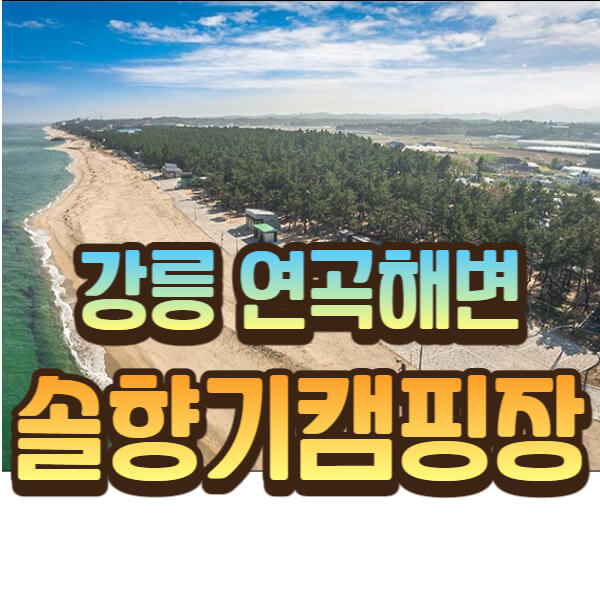 연곡솔향기캠핑장