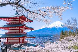 일본 벚꽃여행 명소 추천&amp;#44; 항공권 할인