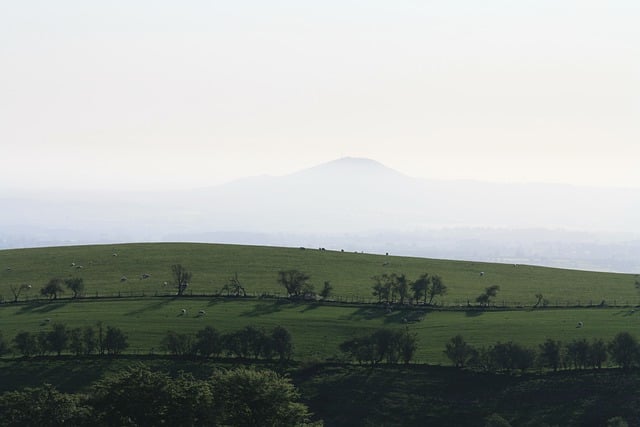서울-춘천 ITX-청춘 열차 운행 시간표 운임 요금1