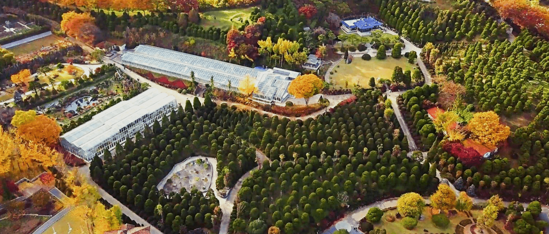 세종 베어트리파크 봄꽃축제