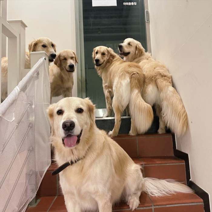 생생정보 틈새 알바 이거 어때