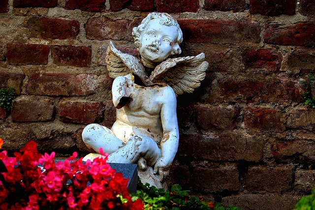 프리드라이프 상조