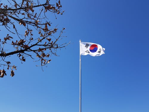 사이렌 소리