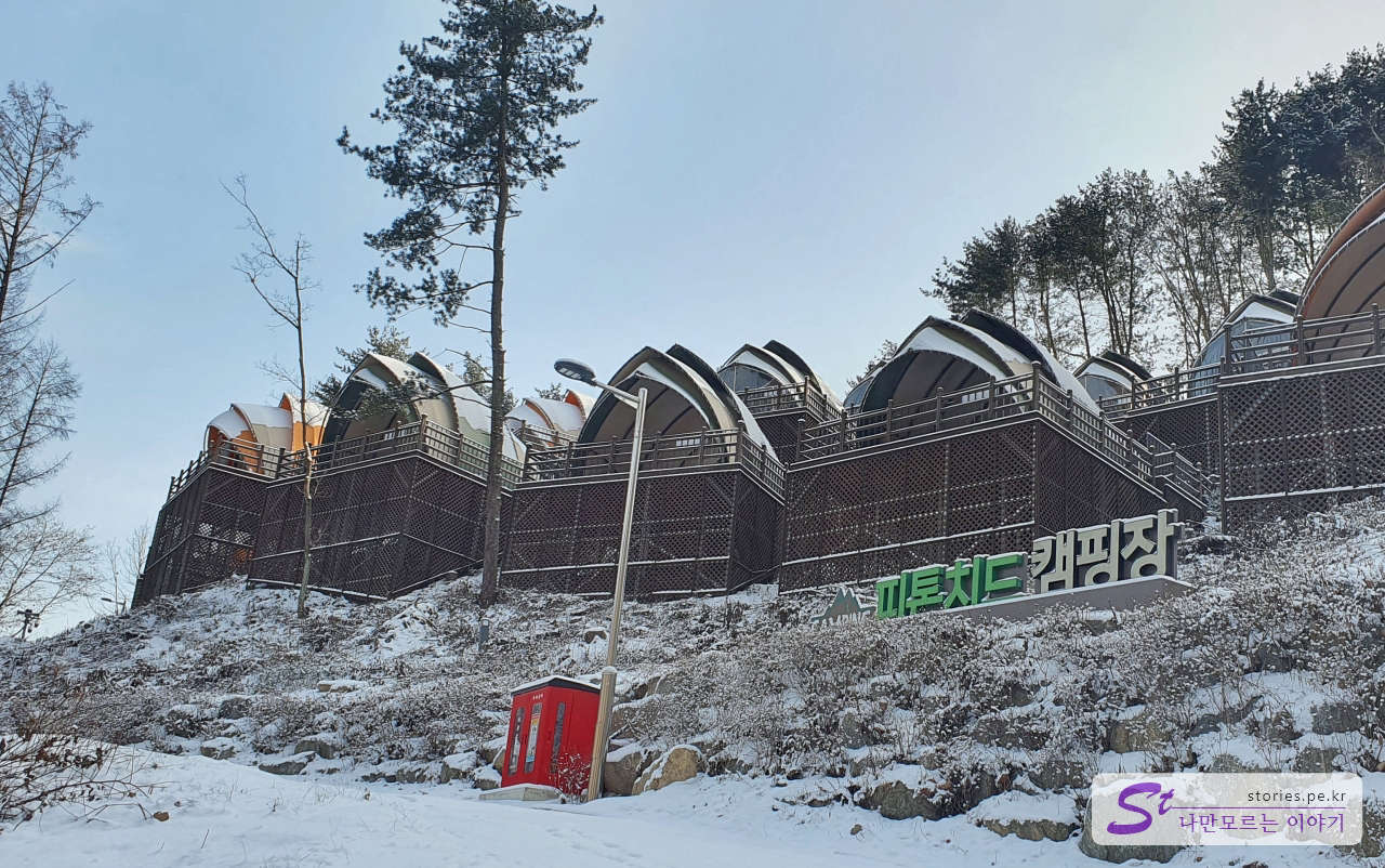 피톤치드 캠핑장