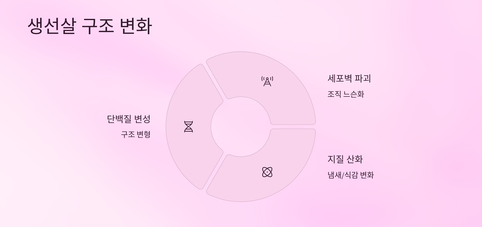 생선 조직 변화와 단백질 구조