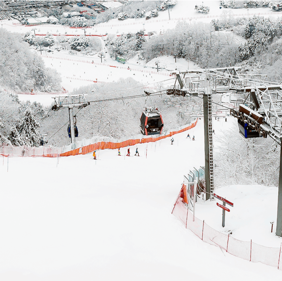 스키장, 비발디파크