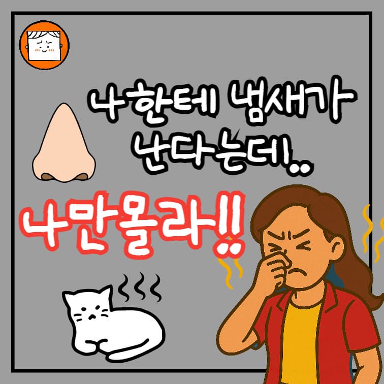 나한테 냄새가 난다는데 나만 몰라, 집 냄새 개선