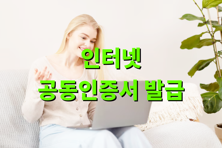 인터넷 공동인증서 발급
