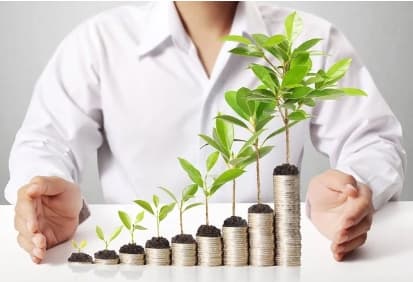 FIRE를 빠르게 이루는 사람들의 소득 다각화 전략