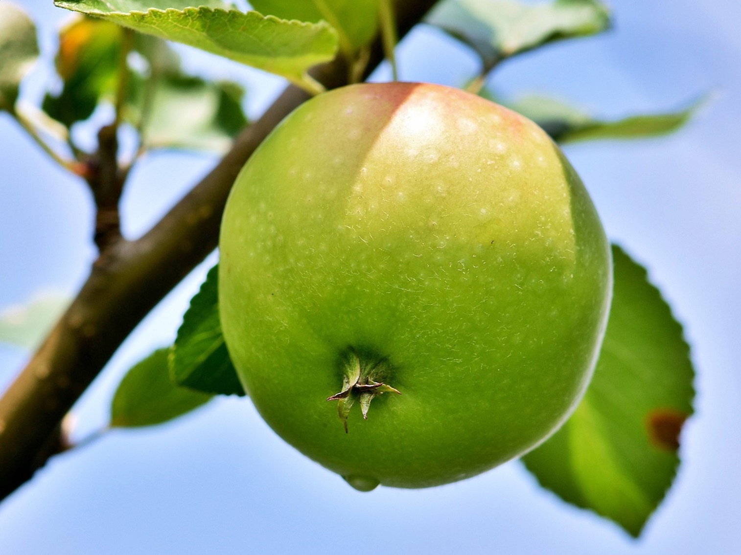 혈당 스파이크가 반복되면 몸에서 먼저 망가지는 5가지 신호