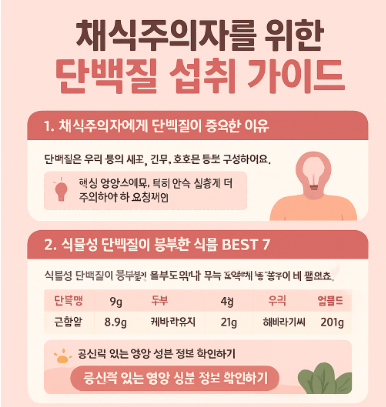 채식주의자를 위한 단백질 섭취 가이드 🌱