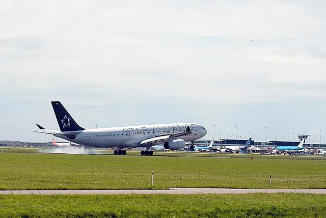 &amp;quot;스타얼라이언스