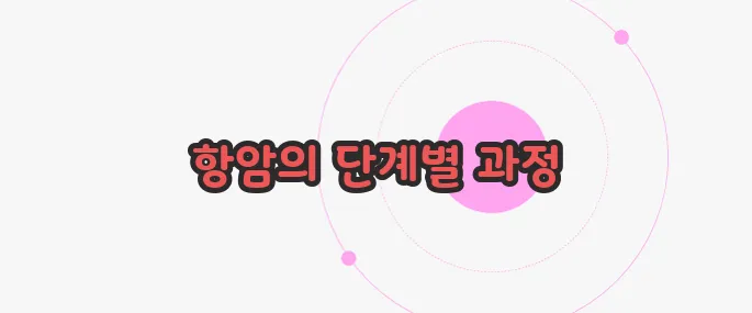 항암 치료 과정 이제 하나씩 확인해보죠