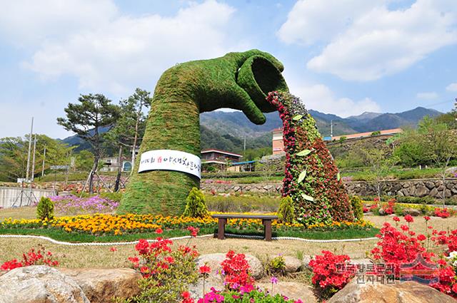 제 27회 야생차 문화축제 기본정보와 프로그램 정보 소개