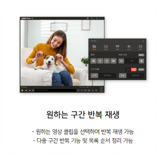 반복 재생 기능 안내