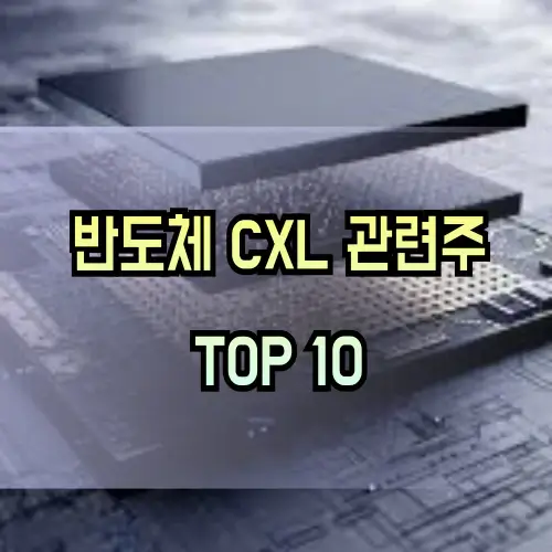 CXL-관련주