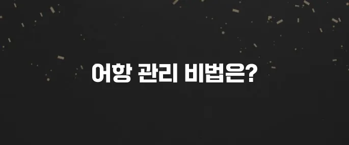 금붕어 키우기? 어항 (Fish Bowl) 장점과 단점 (올바른 관리법)