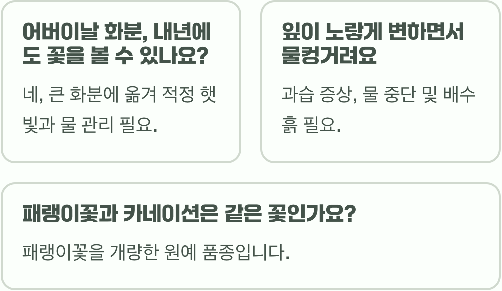 씨앗부터 풍성한 꽃밭까지&amp;#44; 초보도 성공하는 카네이션 키우기 A to Z