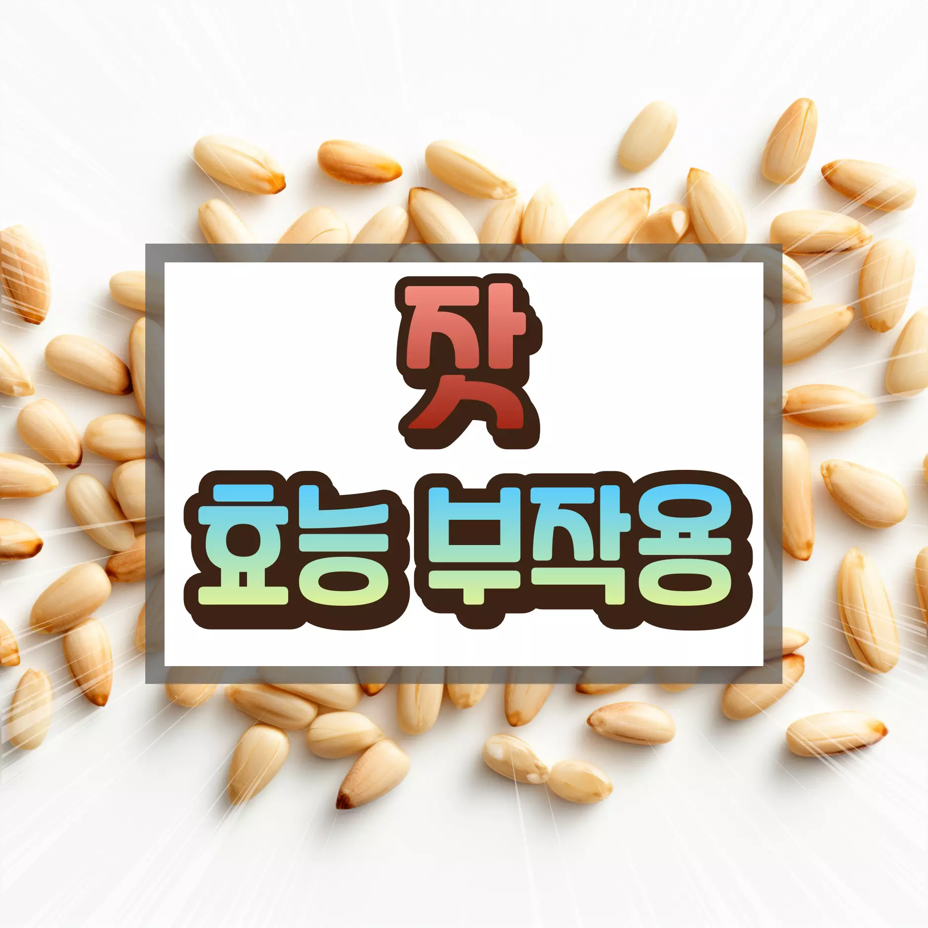 잣 효능 부작용