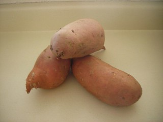 근육량 늘리는 방법