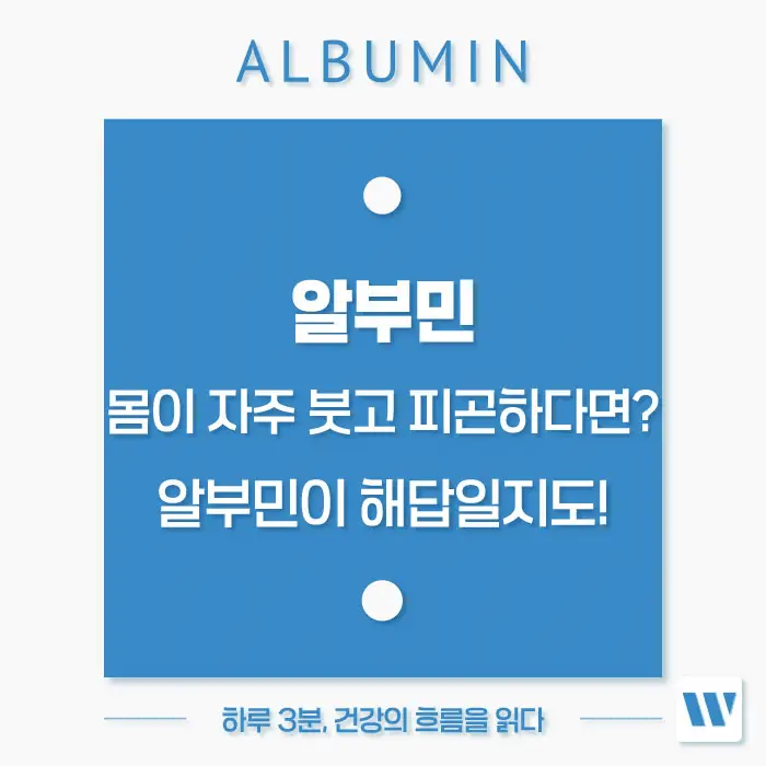 알부민 수치저하 부족증상 부작용 복용법