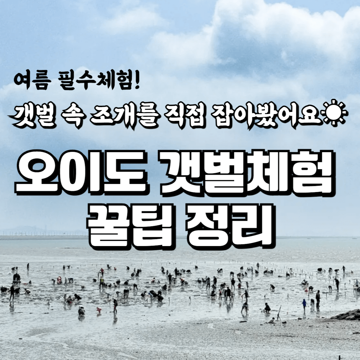 썸네일-오이도갯벌체험꿀팁