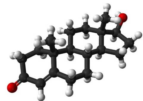 남성호르몬 테스토스테론 분자 구조